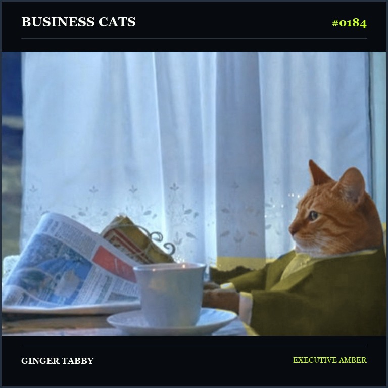 Business Cat 0184 Ginger Tabby in an amber suit
