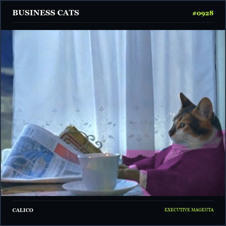 Business Cat 0928 Calico in a magenta suit