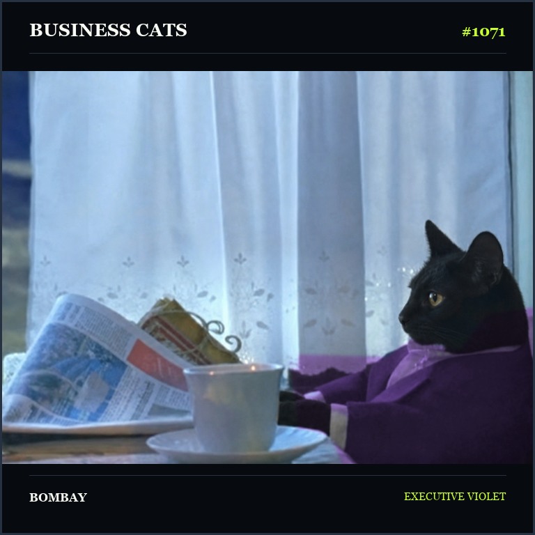 Business Cat 1071 Bombay in a violet suit