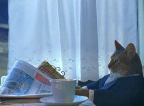 Original Business Cat reading a newspaper in a navy suit